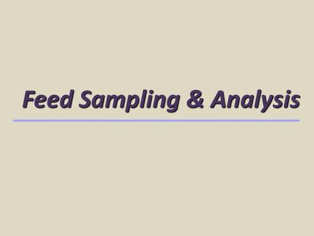 Feed Sampling & Analysis. Representative Sample Identify a “lot” of hay Same field harvested within 48 h Other variables – variety, soil, weeds Small.