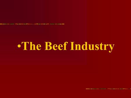 The Beef Industry. The average size beef herd is around 100 head.