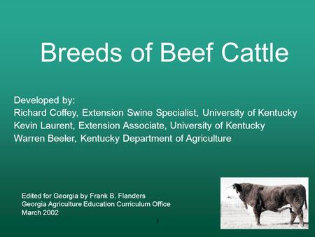 Breeds of Beef Cattle Developed by: