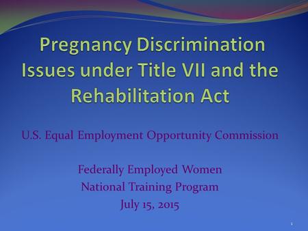 U.S. Equal Employment Opportunity Commission Federally Employed Women