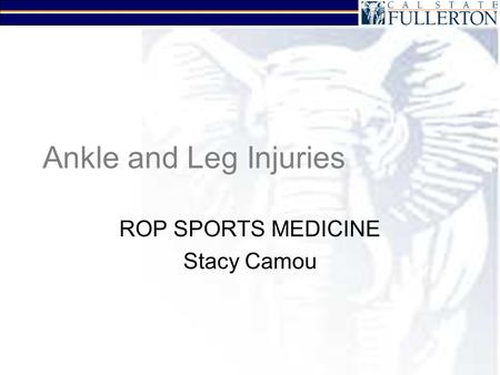 Ankle and Leg Injuries ROP SPORTS MEDICINE Stacy Camou.