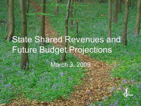 State Shared Revenues and Future Budget Projections March 3, 2009.