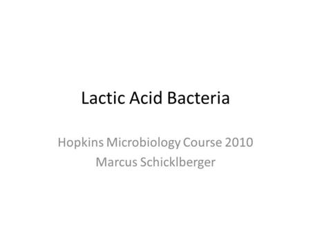 Lactic Acid Bacteria Hopkins Microbiology Course 2010 Marcus Schicklberger.