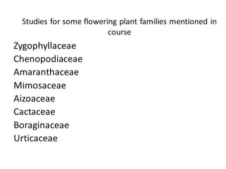 Studies for some flowering plant families mentioned in course