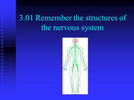 3.01 Remember the structures of the nervous system