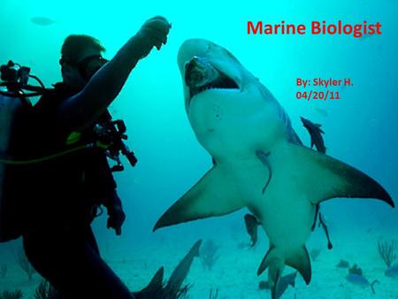 Marine Biologist By: Skyler H. 04/20/11.