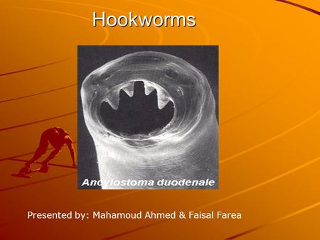 Hookworms Presented by: Mahamoud Ahmed & Faisal Farea.