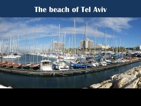 The beach of Tel Aviv “Call it Miami Beach on the Med. Tel Aviv is the Dionysian counterpart to religious Jerusalem… Some restaurants, discos, and.