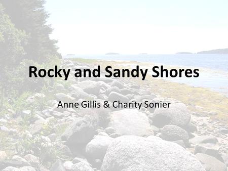 Rocky and Sandy Shores Anne Gillis & Charity Sonier.