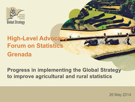 High-Level Advocacy Forum on Statistics Grenada Progress in implementing the Global Strategy to improve agricultural and rural statistics 26 May 2014.