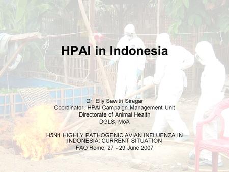 HPAI in Indonesia Dr. Elly Sawitri Siregar Coordinator, HPAI Campaign Management Unit Directorate of Animal Health DGLS, MoA H5N1 HIGHLY PATHOGENIC AVIAN.