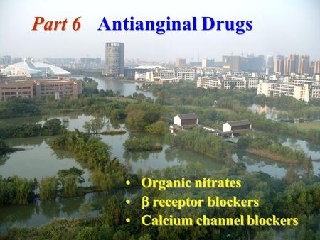 Part 6 Antianginal Drugs Organic nitrates Organic nitrates  receptor blockers  receptor blockers Calcium channel blockers Calcium channel blockers.