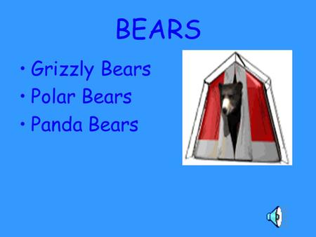 BEARS Grizzly Bears Polar Bears Panda Bears. Grizzly Bears...eat over a hundred different types of plants, many species of insects, fish, ground squirrels,