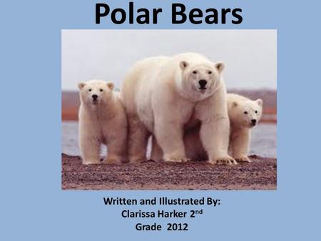 Polar Bears Written and Illustrated By: Clarissa Harker 2 nd Grade 2012.