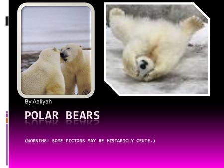 By Aaliyah Polar bears endechered animals. That means that there are not many left in the world. Polar bears are cute put very dangerous. So if I were.
