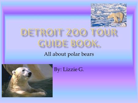 All about polar bears By: Lizzie G..  Title slide 1.  Dinner Time slide 3.  Watch out, Incoming! Slide 4.  Is that a Polar Bear or a giant puffball?