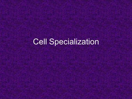 Cell Specialization. Unicellular Organism – consists of only one cell - that one cell carries out all functions required to maintain the life of the organism.
