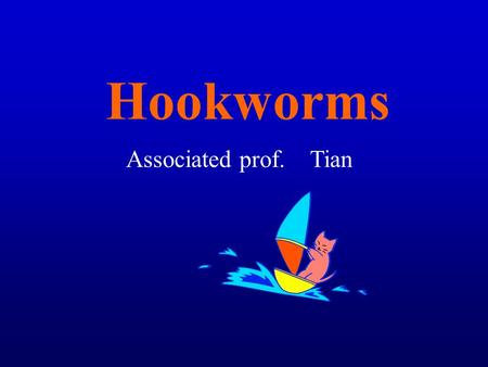Hookworms Associated prof. Tian.