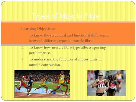 Types of Muscle Fibre Learning Objectives: