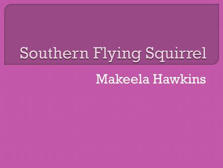 Makeela Hawkins.  The southern flying squirrel is usually found in hammocks or swamps in Florida.  It is also found in the trees.  It is found in South.