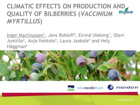 CLIMATIC EFFECTS ON PRODUCTION AND QUALITY OF BILBERRIES (VACCINIUM MYRTILLUS) Inger Martinussen 1, Jens Rohloff 2, Eivind Uleberg 1, Olavi Junttila 3,