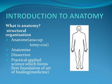 INTRODUCTION TO ANATOMY