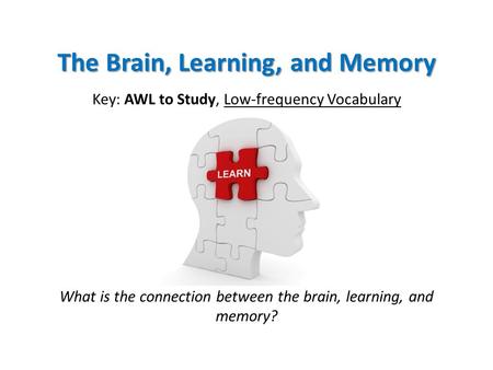 The Brain, Learning, and Memory Key: AWL to Study, Low-frequency Vocabulary What is the connection between the brain, learning, and memory?