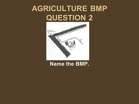 AGRICULTURE BMP QUESTION 2 Name the BMP.. AGRICULTURE BMP ANSWER 2 Name the BMP. Windbreak Row of trees Trees or shrubs that slow the wind.