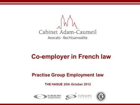 Co-employer in French law Practise Group Employment law THE HAGUE 20th October 2012.