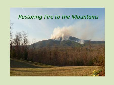 Restoring Fire to the Mountains. a presentation by… your National Forests in North Carolina.