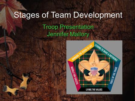 Troop Presentation Jennifer Mallory