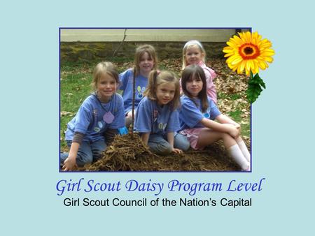 Girl Scout Daisy Program Level