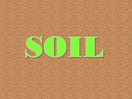 Soil 50% pores and 50% solids www.PhysicalGeography.net.