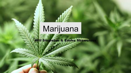Marijuana Will Singleton & Emma Shawcross. Issue…. The battle over the legalization of marijuana continues to be a controversial subject where the states.