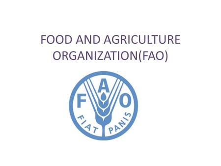 FOOD AND AGRICULTURE ORGANIZATION(FAO). WHAT IS IT? It leads international efforts to defeat hunger. FAO acts as a neutral forum where all nations meet.