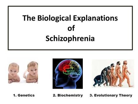The Biological Explanations of Schizophrenia 1. Genetics 2. Biochemistry 3. Evolutionary Theory.