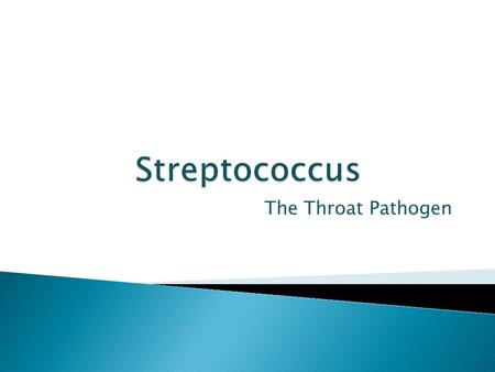 Streptococcus The Throat Pathogen.