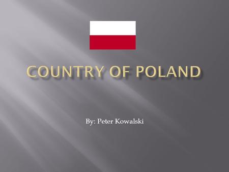 By: Peter Kowalski.  There are many ethnic groups in Poland, Polish 96.7%, German 0.4%, Belarusian 0.1%, Ukranian 0.1%, other 2.7%.  There are different.