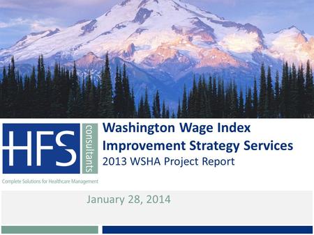 2013 WSHA Project Report Washington Wage Index Improvement Strategy Services January 28, 2014.
