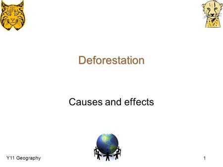 Deforestation Causes and effects.