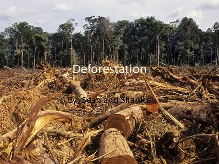Deforestation By: Sean and Shanice. Definition Deforestation, Clearance or Clearing is the removal of a forest or stand of trees where the land is thereafter.
