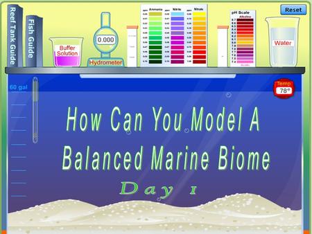 Creating and maintaining a healthy reef tank takes time and attention to detail. In this activity, you will create and maintain a marine biome in the.