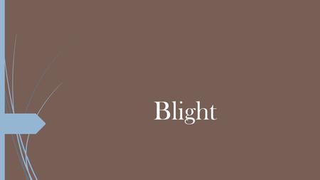 Blight. What is Blight? It is simply a rapid and complete chlorosis, browning, then death of plant tissues such as leaves, branches, twigs, or floral.