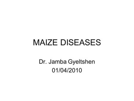 MAIZE DISEASES Dr. Jamba Gyeltshen 01/04/2010.