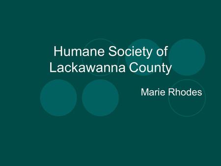 Humane Society of Lackawanna County Marie Rhodes.