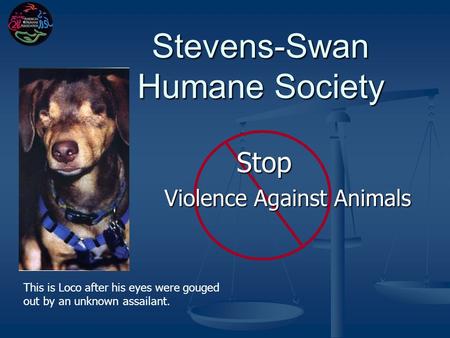 Stevens-Swan Humane Society Stop Stop Violence Against Animals Violence Against Animals This is Loco after his eyes were gouged out by an unknown assailant.