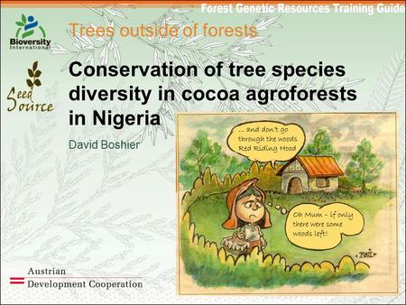 Trees outside of forests Conservation of tree species diversity in cocoa agroforests in Nigeria David Boshier.
