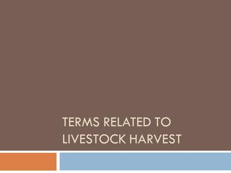 TERMS RELATED TO LIVESTOCK HARVEST. Objectives  Define anatomical terms important to livestock slaughter  Describe Market Readiness and the appropriate.