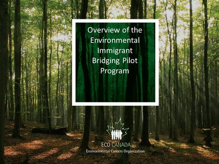Overview of the Environmental Immigrant Bridging Pilot Program.