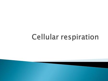 Cellular respiration.